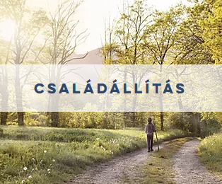 csaladallitas-hellinger Hellinger csoport családállítás Farkas Zita