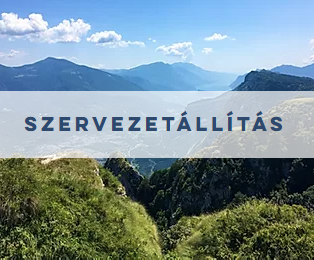 szervezetallitas-hellinger Hellinger csoport családállítás Farkas Zita