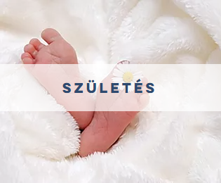 szuletes-hellinger Hellinger csoport családállítás Farkas Zita